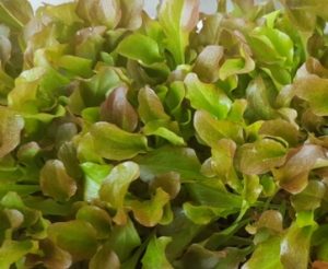 Nu ser samma ställe ut så här.